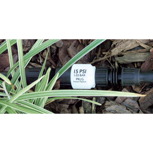 Regulador Presion Prlg Senninger - PRLG 3/4" HE-HI 20 PSI